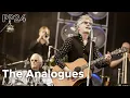 Download Lagu The Analogues - live at Pinkpop 2024