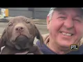 Something Good Cross Your Paws big rescue mission