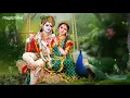 Non Stop Best Krishna Flute Music | Krishna Songs | Bhakti Song | Relaxing Music | Krishna Flute