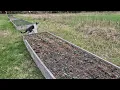 Taking a look at the soil temperature Again