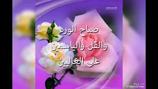 صباح يوم جديد جميل 