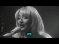 Cindy Lou who- Sabrina Carpenter especial Netflix ( tradução)