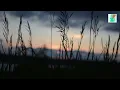 Wind Sound SOUND EFFECT - No Copyright[Download Free]