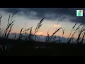 Download Lagu Wind Sound SOUND EFFECT - No Copyright[Download Free]