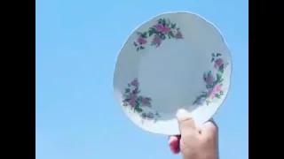 طبق طائر في سماء عدن 