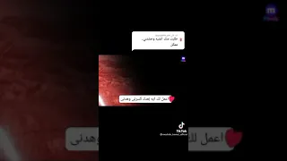 اغنية مصطفى كامل نفسي الزمان والعمر يرجع بيا  تاني حالات واتس اب   دندنها