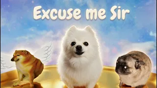 Excuse me Sir (Doggo's Inferno)