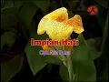 Lagu Ade Putra - Impian Hati [OFFICIAL LYRIC]