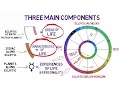 How to Read a Birth Chart in Minutes