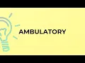 What is the meaning of the word AMBULATORY
