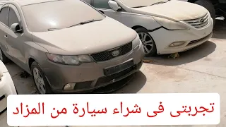 تجربتى فى شراء سيارة من المزاد دندنها