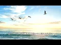 勝手にシンドバッド  / サザンオールスターズ (歌詞入り)