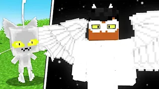 Transformei o MIRACULOUS DO GATO em CELESTIAL no Minecraft
