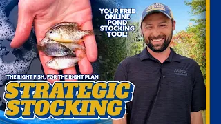 What Fish Should You Stock Free Online Pond Stocking Tool Custom Plan in Minutes