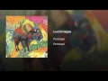 Luciérnagas - Pumcayó