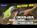 Download Lagu MASTERAN TEMBAKAN KASAR VIRAL 2025 || BESETAN JENGGOT - CUNGKOK GEREJA TARUNG - TEPUS  || BAJING