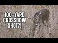 Can Crossbows Shoot 100 Yards