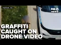 CAUGHT ON CAMERA Graffiti arrest in Maryland