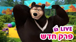 מאשה והדוב 👱‍♀️ פרק חדש 🐻 אימון שובר 🏋️💦 סרטים לילדים 🔴 LIVE ⭐️