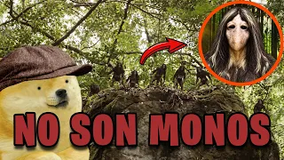 Encontramos a los EBU GOGO, son C4NIBALES ¡CUIDADO! - Hilos con Cheems