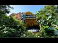 Download Lagu Wonderfull Landfill Task! Delete Lotus Pond Using Dump Truck 5Ton \u0026 Dozer Pushing Stone Into Water