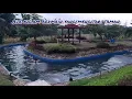 Download Lagu Review Kampung Tepi Sawah , Boja ,Kab.Kendal Jateng