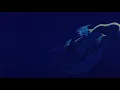 Creepshow - Opening Titles