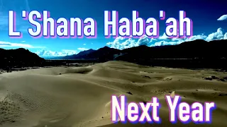 Download L'Shanah Haba'ah | Next Year In Jerusalem | Passover @AveMariaRecords #seder #faith MP3