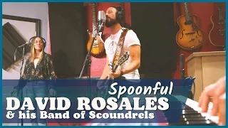 David Rosales - Spoonful Live Session
