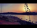 Gordo & Alice Aera - Guard Down (HQ)