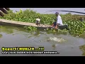 Download Lagu BABON BABON TOK...!!! Spot yang pemancing idamkan #mancing