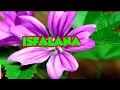 Download Lagu ISFALANA