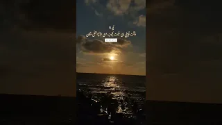 ليه   وانت قايلي ان غبت تغيب من الدنيا احلي مكان    اكسبلور                  شادية دندنها