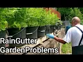 Top 6 Rain Gutter Garden Problems-Avoid These Mistakes