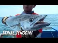 Download Lagu Battle Fishing Tenggiri di Perairan Indramayu | MANCING MANIA STRIKE BACK(08/03/25) Part 1