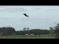 4K Frisian Flag 2023 F-35 / F-16 / EF-2000 Eurofighter / F-18 Hornet / Air Force