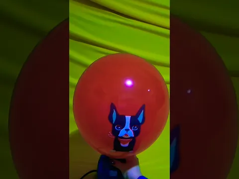 DOG BALLOON INFLATION AND DEFLATION!!!