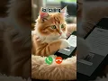 Download Lagu Raj calling #ringtone #cat #trending #cutecat #youtubeshorts #viralshort #calling #kitten