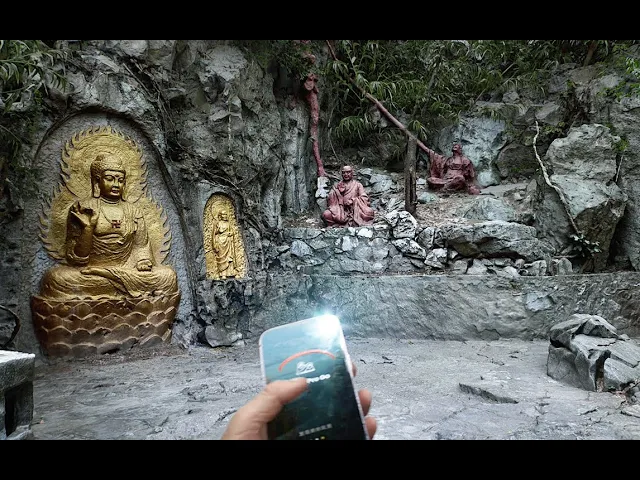 【Secluded Orchid】Unreal Engine 5 - Tech Demo