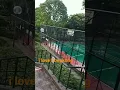 Download Lagu aq diam bukan berarti kalah tapi belum suratnya ak bicara karna keadaan lah yang mghsruskanku