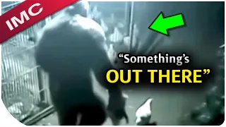 The Most Mind Blowing Bigfoot Videos The Internet Can't Explain