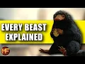 Every Beast We ve Seen So Far in Fantastic Beasts 45 Creatures Explained