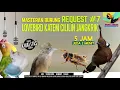 Download Lagu REQUEST MASTERING #8.... DURASI 5 JAM...JOSS GANDOOSSSS .. Lovebird KATEM CILLIN JANGKRIK...AMBYAAAR