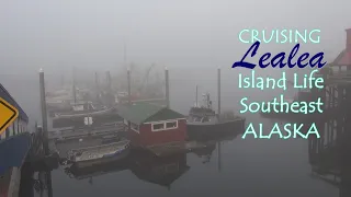 Cruising Lealea: Fog