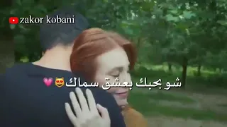 قصة كبيرة حبيبة قلبي يا ناس أيمن أمين 