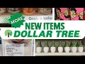 New Dollar Tree TREASURES Magnolia Sephora Target Dupes