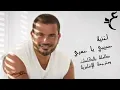 Amr Diab - Habibi Ya Omry ( Official Lyrics \u0026 Translation Video )