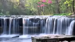   جل المنادي  نصر الدين طوبار   دندنها