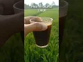 PAGI PAGI NYURUPUT KOPI DI SAWAH || MANTAP \u0026 NIKMAT #SHORTS
