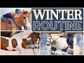 Winter Morning Routine Show Jumping Spicy Ponies More SSO RRP